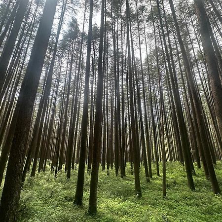 Deodar Village Homestay Devalsari Mussoorie Zewnętrze zdjęcie