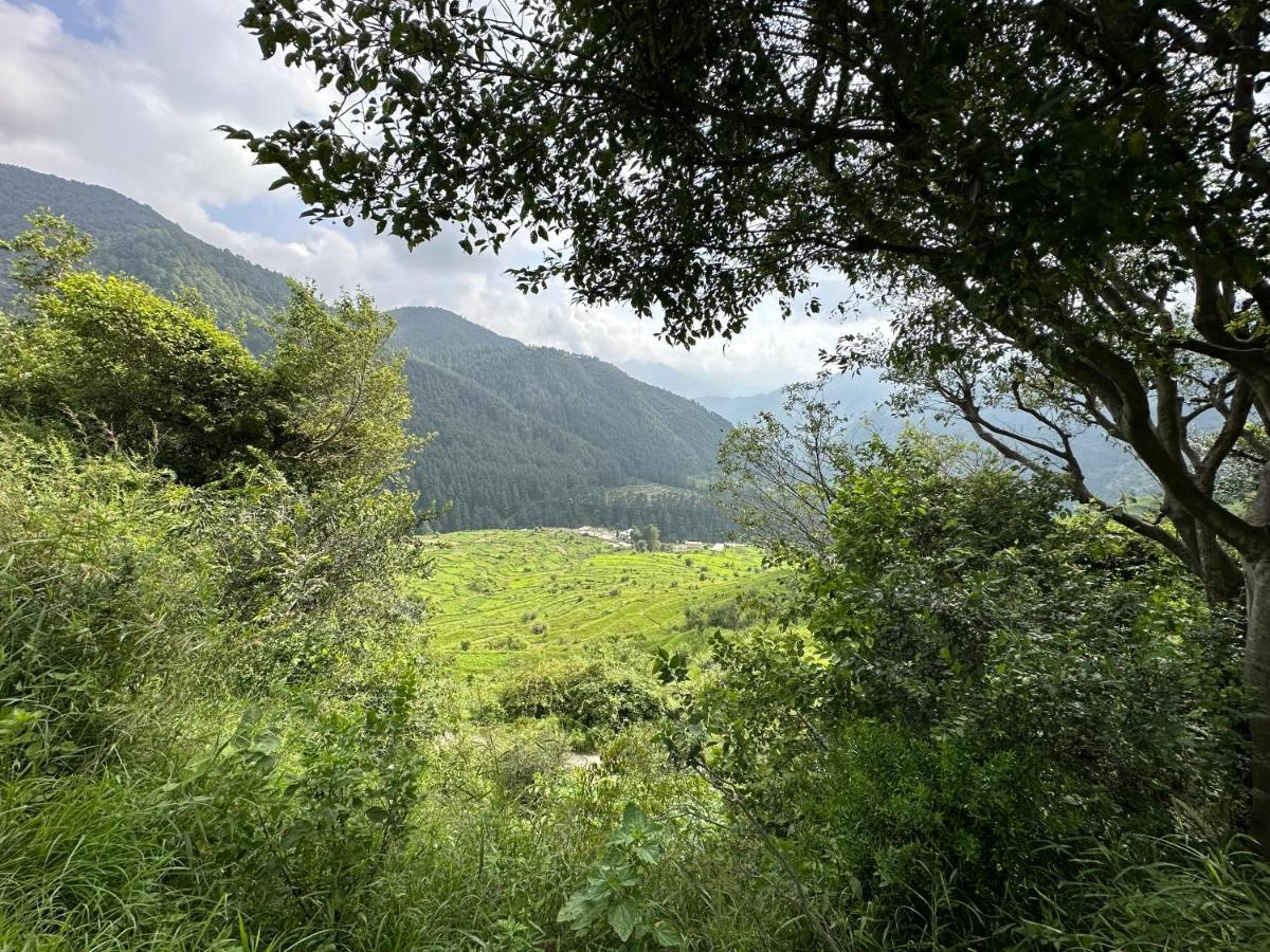 Deodar Village Homestay Devalsari Mussoorie Zewnętrze zdjęcie