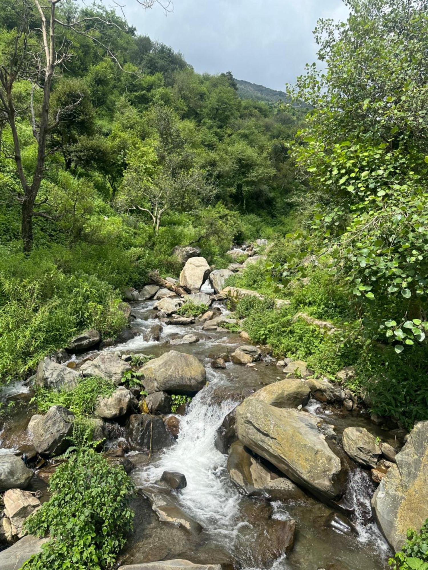 Deodar Village Homestay Devalsari Mussoorie Zewnętrze zdjęcie