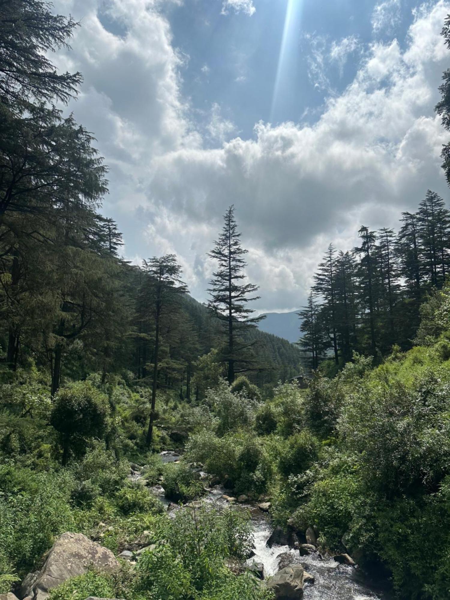 Deodar Village Homestay Devalsari Mussoorie Zewnętrze zdjęcie