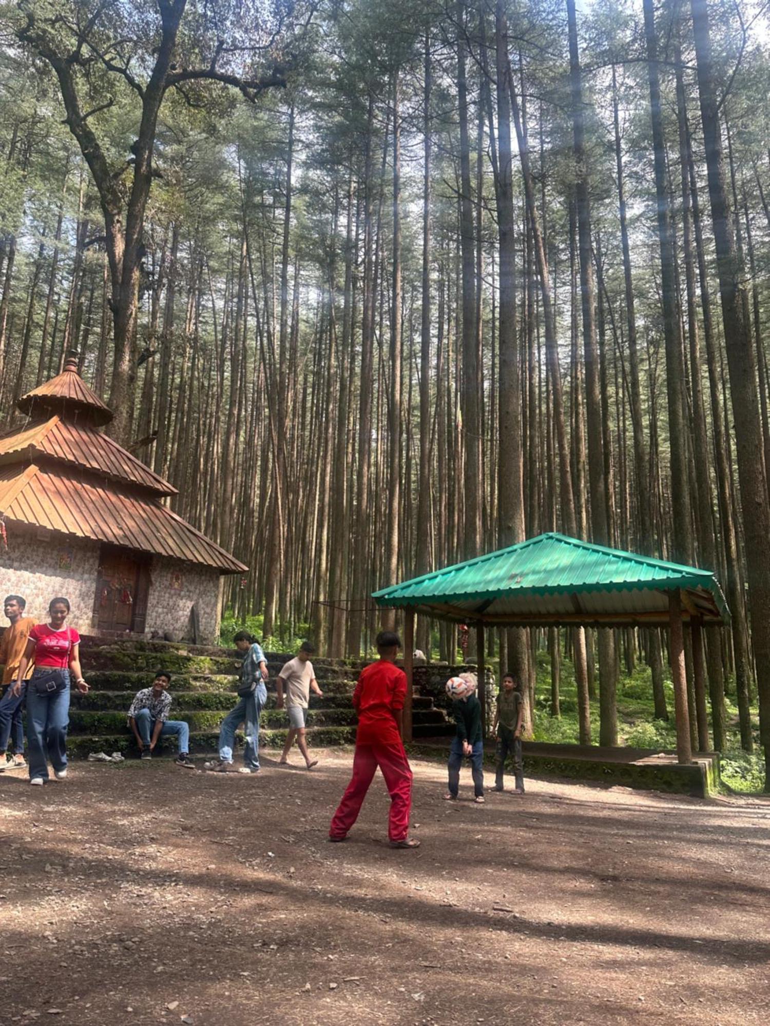 Deodar Village Homestay Devalsari Mussoorie Zewnętrze zdjęcie